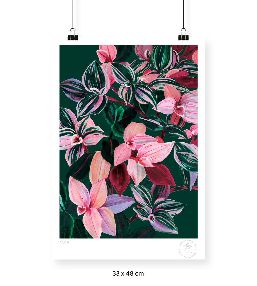 Tradescantia - 33 x 48 cm