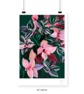 Tradescantia - 33 x 48 cm