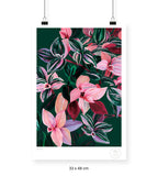 Tradescantia - 33 x 48 cm