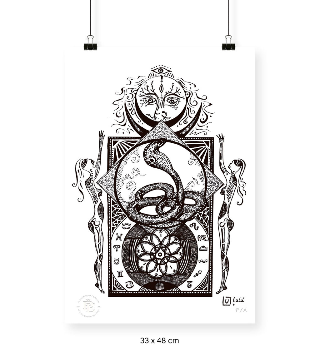 Zodiaco Blanco - 33 x 48 cm