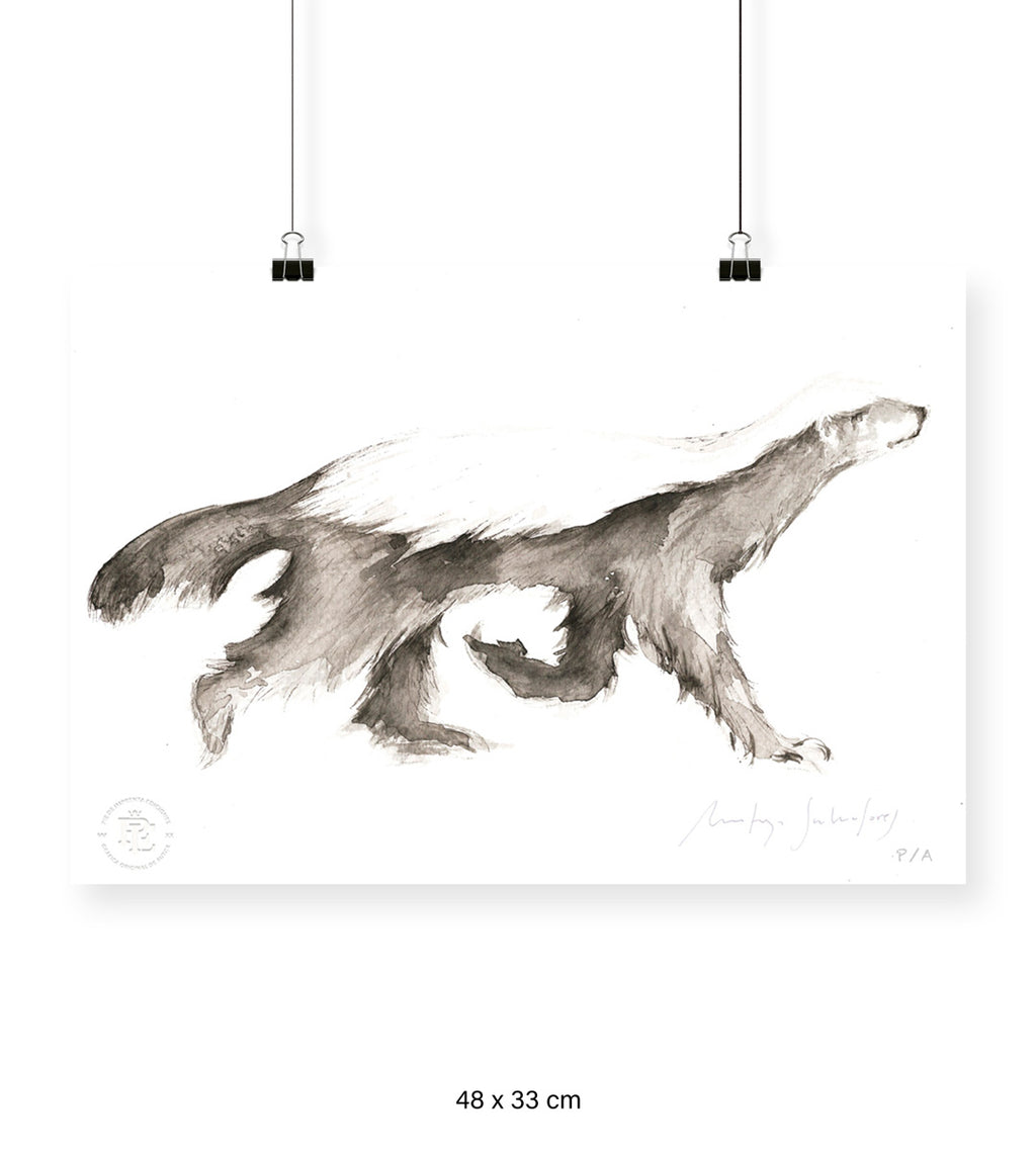 Honey Badger I - 48 x 33 cm