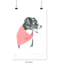 Sarna - 33 x 48 cm