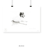Lupita - 48 x 33 cm