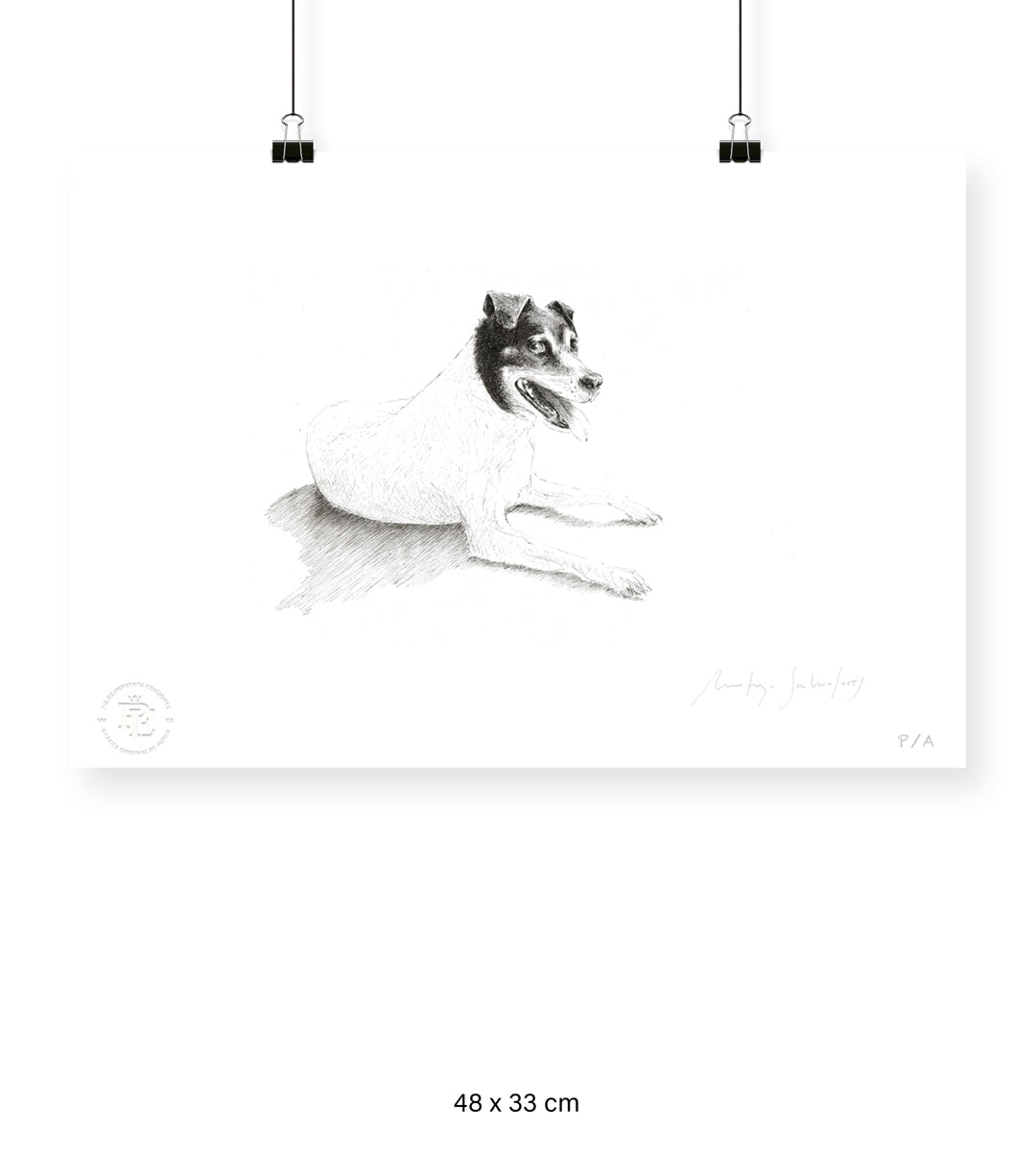 Lupita - 48 x 33 cm