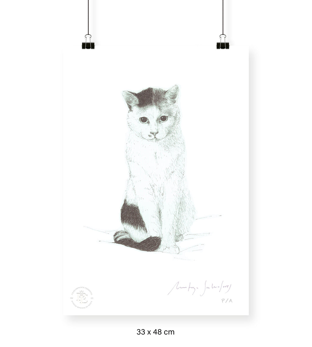 Wisi - 33 x 48 cm