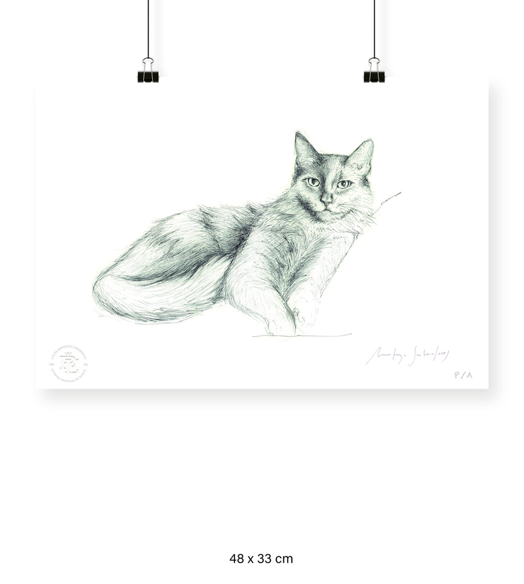 Lila - 48 x 33 cm