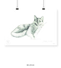 Lila - 48 x 33 cm