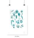 Flora Silvestre 1 - 33 x 48 cm