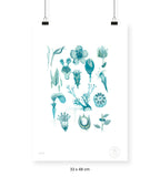 Flora Silvestre 1 - 33 x 48 cm