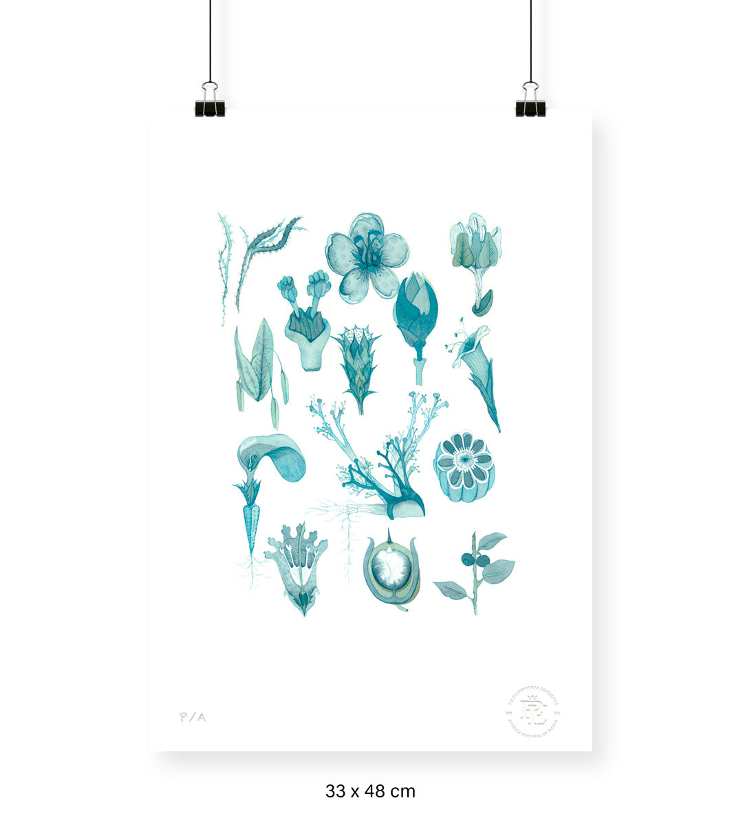 Flora Silvestre 1 - 33 x 48 cm