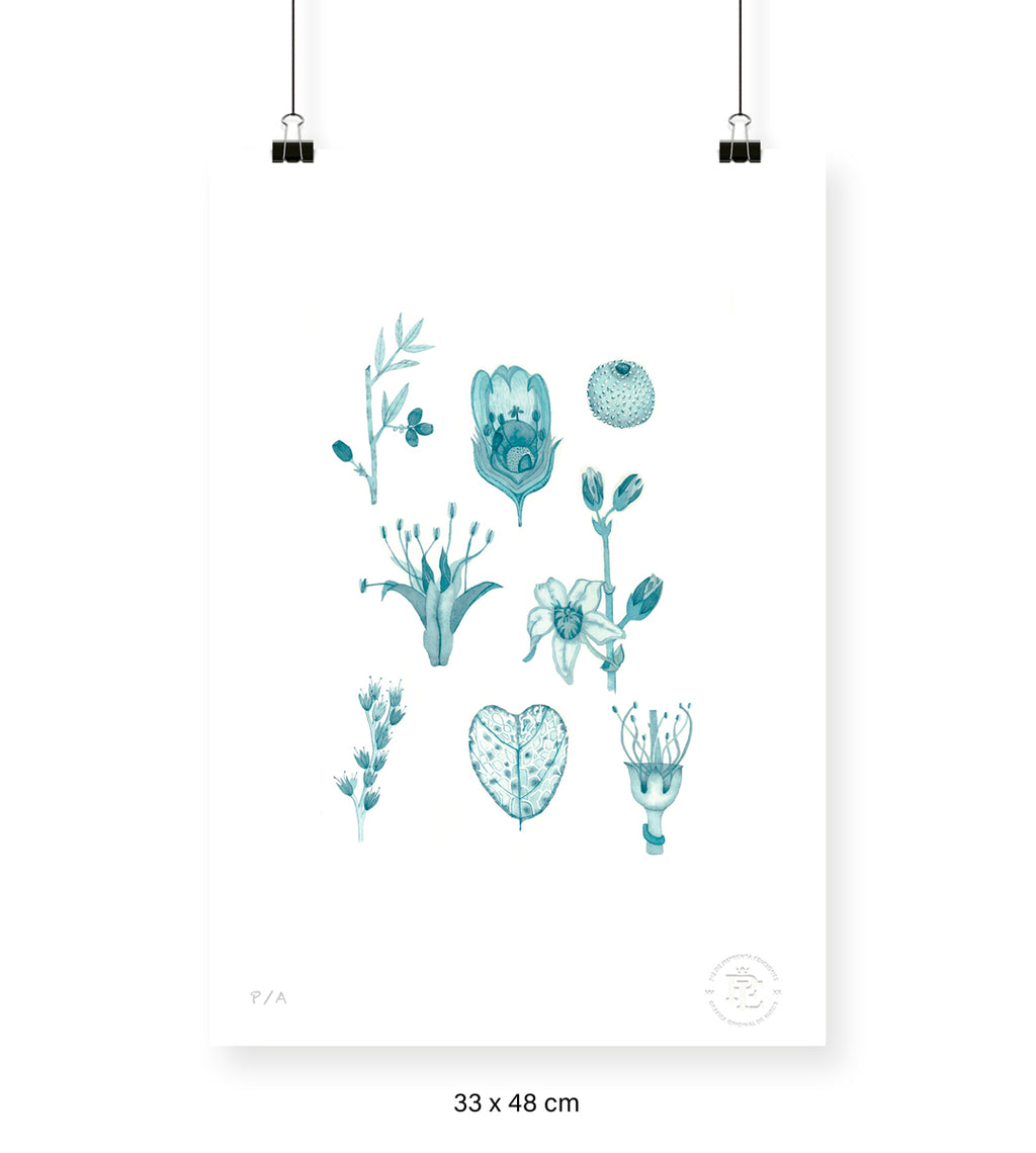 Flora Silvestre 2 - 33 x 48 cm