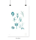 Flora Silvestre 3 - 33 x 48 cm