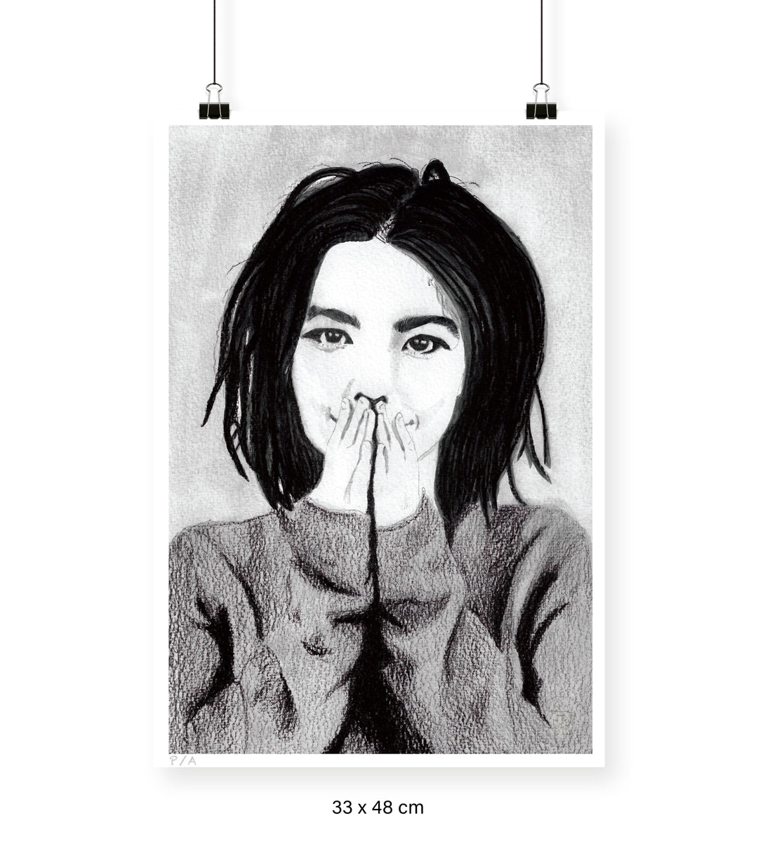 Bjork - 33 x 48 cm