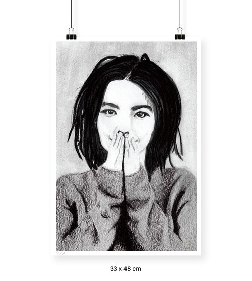 Bjork - 33 x 48 cm