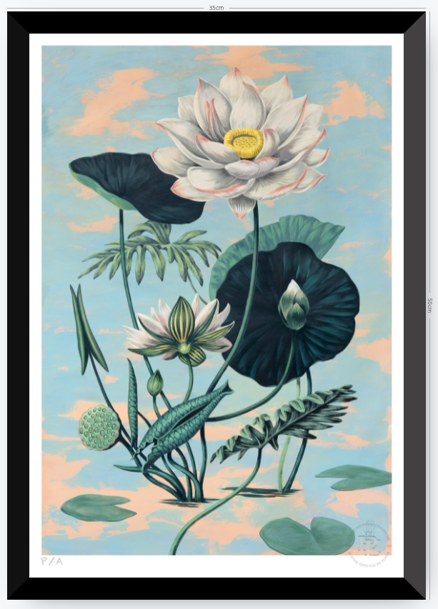 Lotus II - 33 x 48 cm