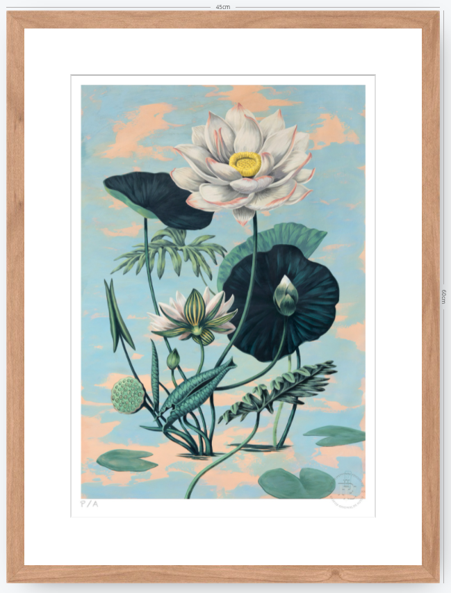 Lotus II - 33 x 48 cm