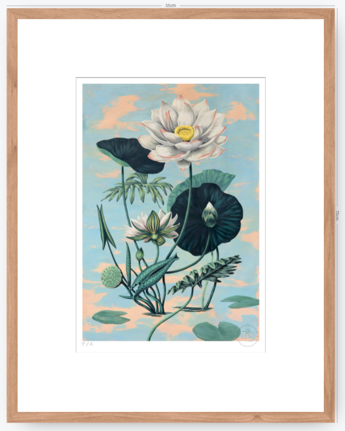 Lotus II - 33 x 48 cm