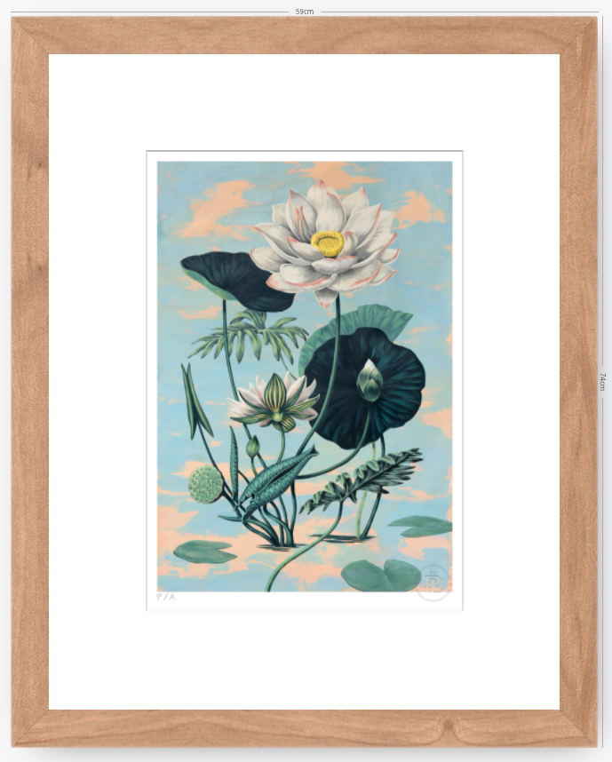 Lotus II - 33 x 48 cm