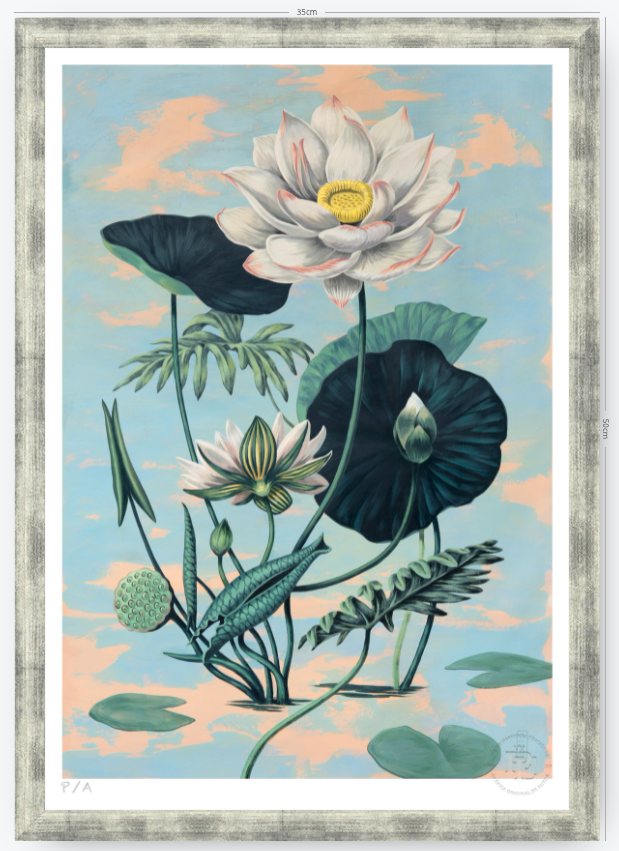 Lotus II - 33 x 48 cm