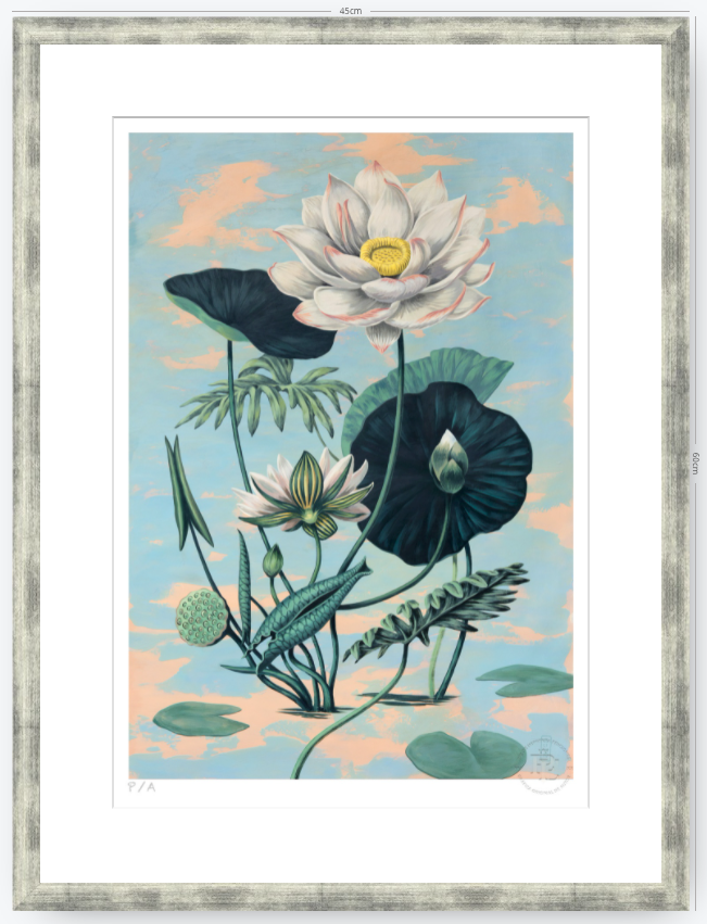 Lotus II - 33 x 48 cm