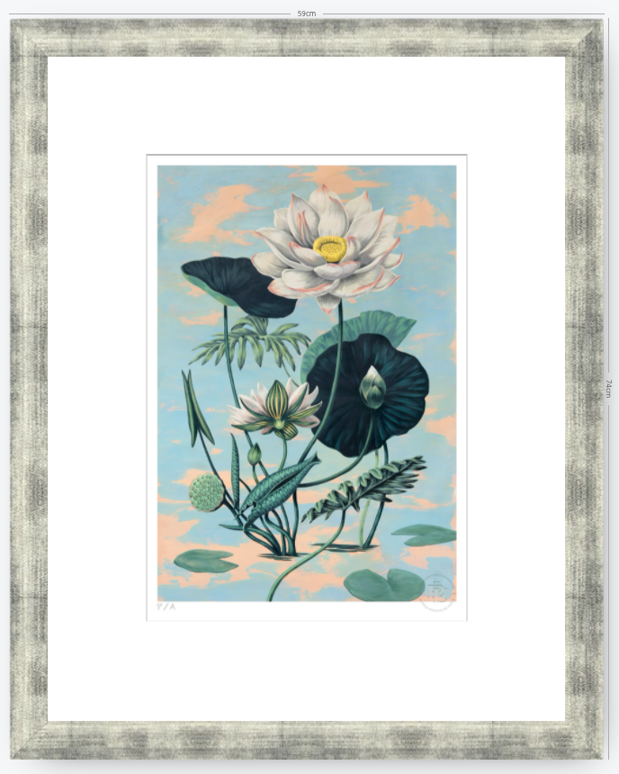 Lotus II - 33 x 48 cm
