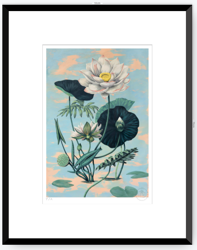 Lotus II - 33 x 48 cm