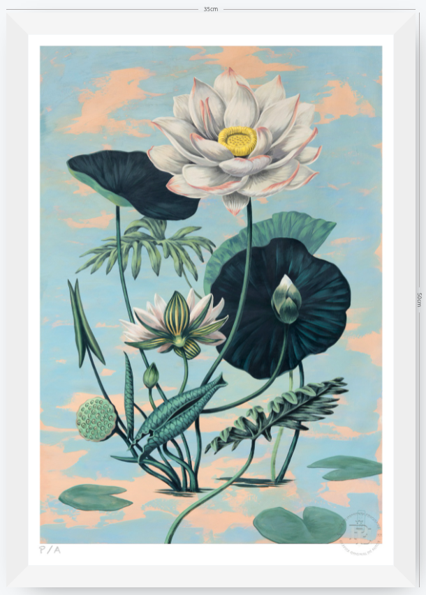 Lotus II - 33 x 48 cm
