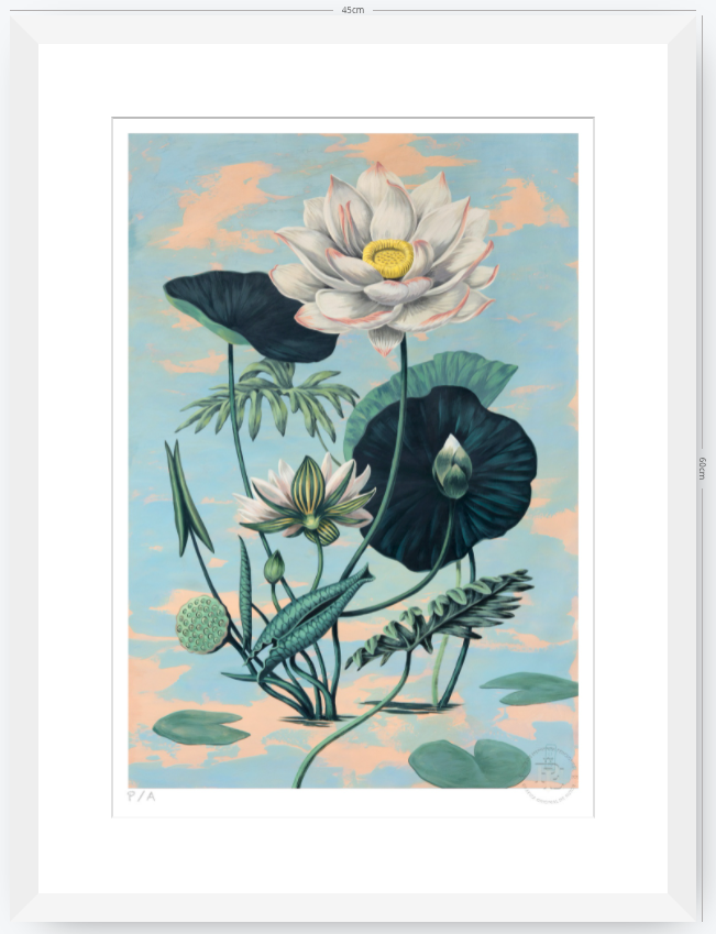 Lotus II - 33 x 48 cm