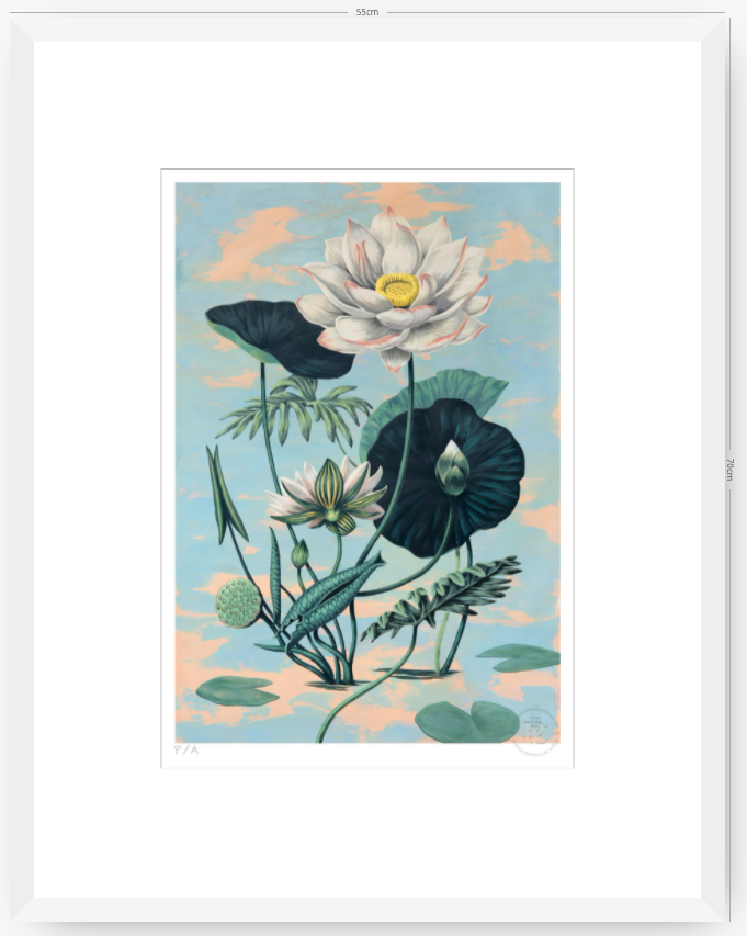 Lotus II - 33 x 48 cm