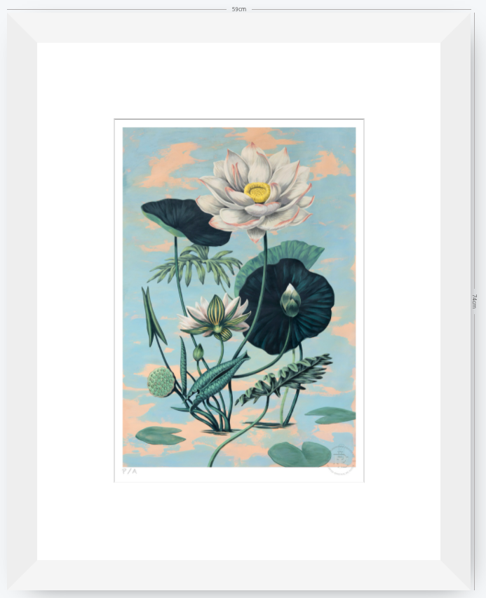 Lotus II - 33 x 48 cm