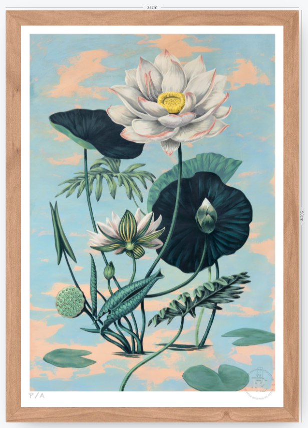 Lotus II - 33 x 48 cm