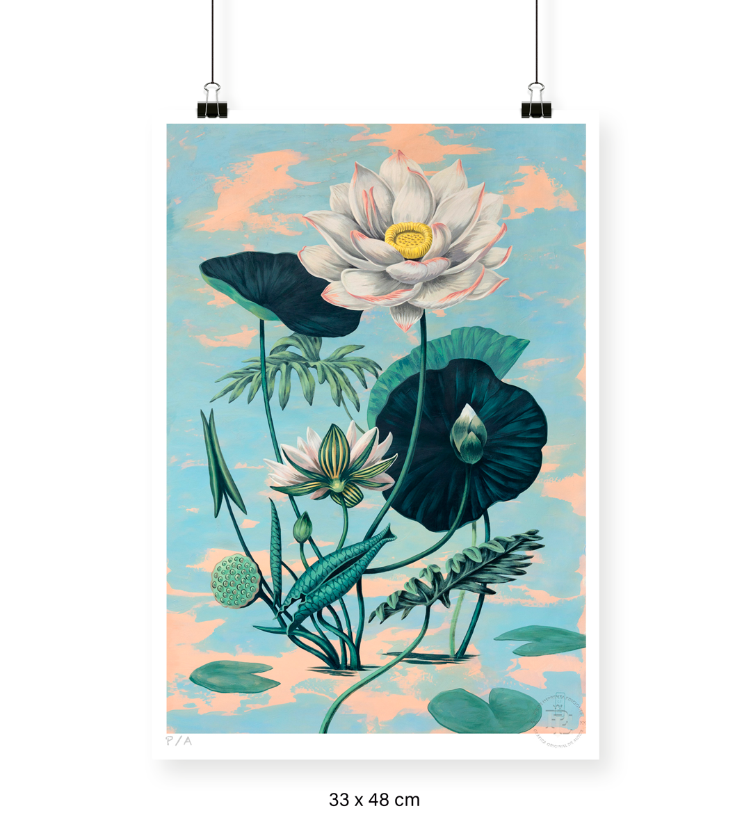 Lotus II - 33 x 48 cm