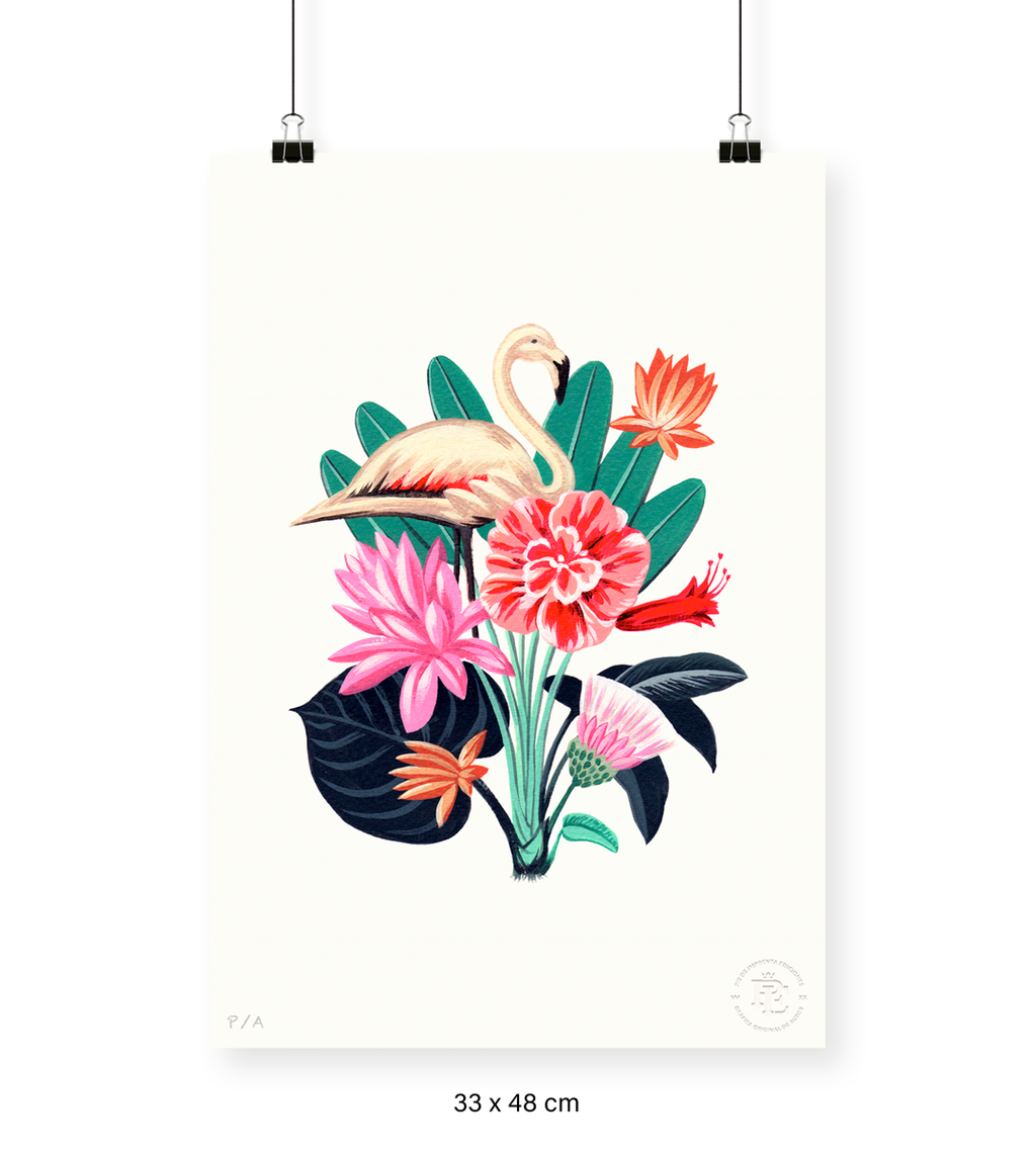 Flamingo - 33 x 48 cm
