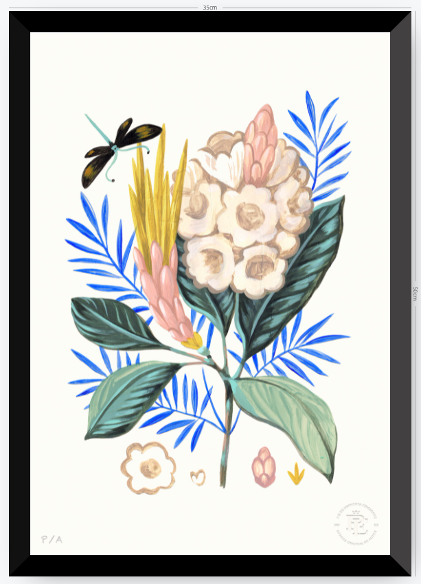Protea Mia - 33 x 48 cm