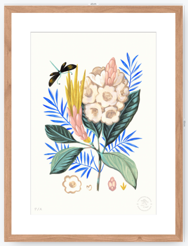 Protea Mia - 33 x 48 cm