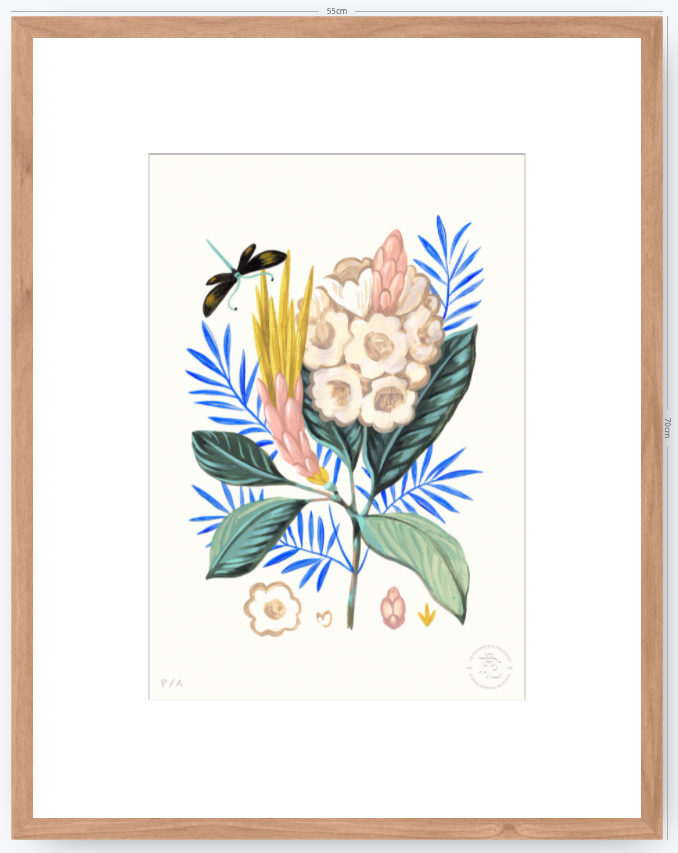Protea Mia - 33 x 48 cm