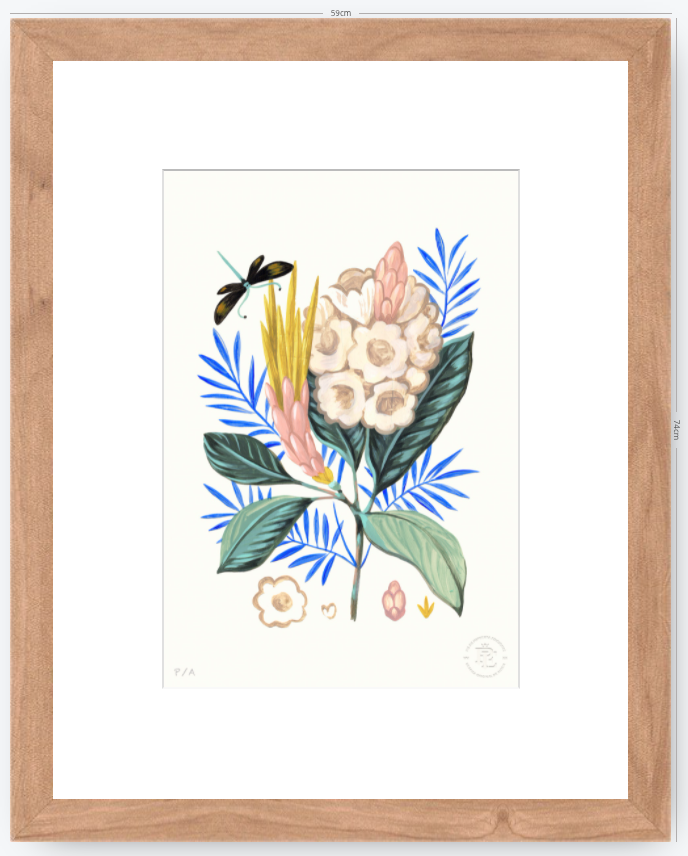Protea Mia - 33 x 48 cm