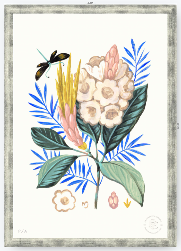 Protea Mia - 33 x 48 cm