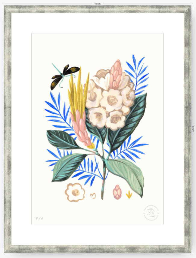 Protea Mia - 33 x 48 cm