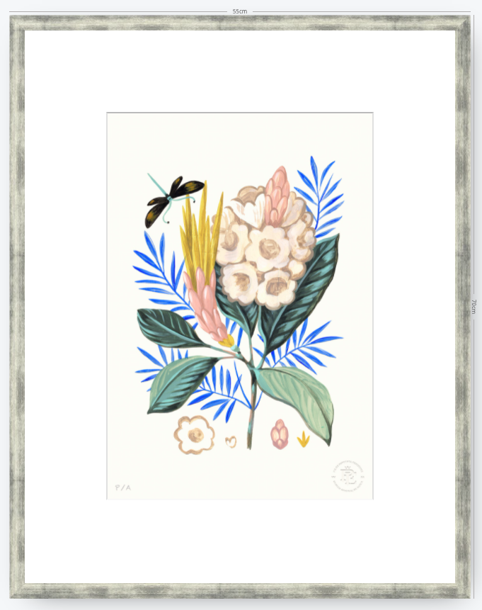 Protea Mia - 33 x 48 cm