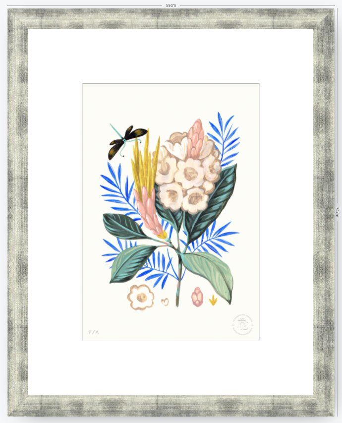 Protea Mia - 33 x 48 cm