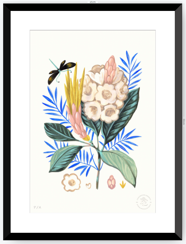 Protea Mia - 33 x 48 cm