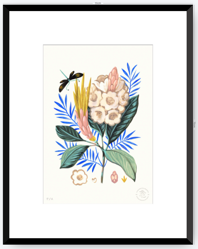 Protea Mia - 33 x 48 cm