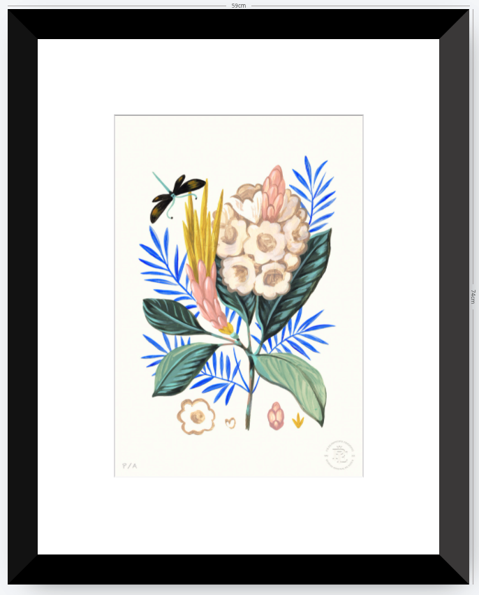 Protea Mia - 33 x 48 cm