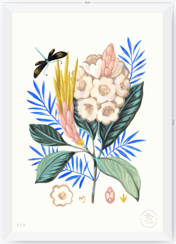 Protea Mia - 33 x 48 cm