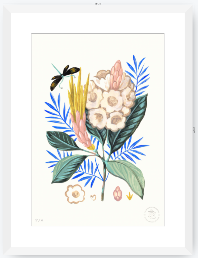 Protea Mia - 33 x 48 cm