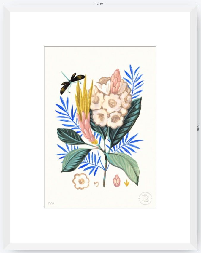 Protea Mia - 33 x 48 cm