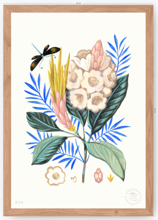 Protea Mia - 33 x 48 cm