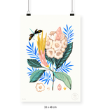 Protea Mia - 33 x 48 cm