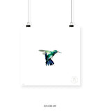 Colibrí Azúl  - 33 x 33 cm